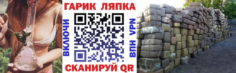 ГАШ Ice-O-Lator  Каргополь 