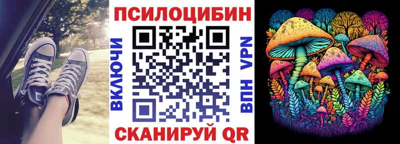 Псилоцибиновые грибы Magic Shrooms  ссылка на мегу зеркало  Каргополь 